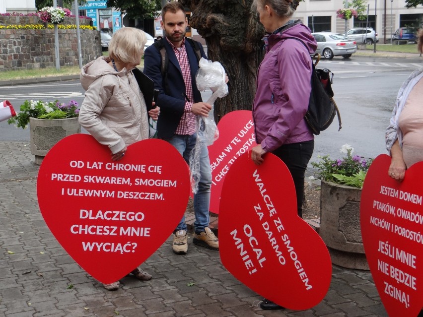 Marsz w obronie drzew w Radomsku [ZDJĘCIA, FILM]