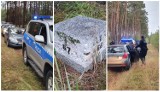 Policjanci z Bydgoszczy poszukiwali zagubionych grzybiarzy. Podpowiadają, jak zorganizować bezpieczne grzybobranie 