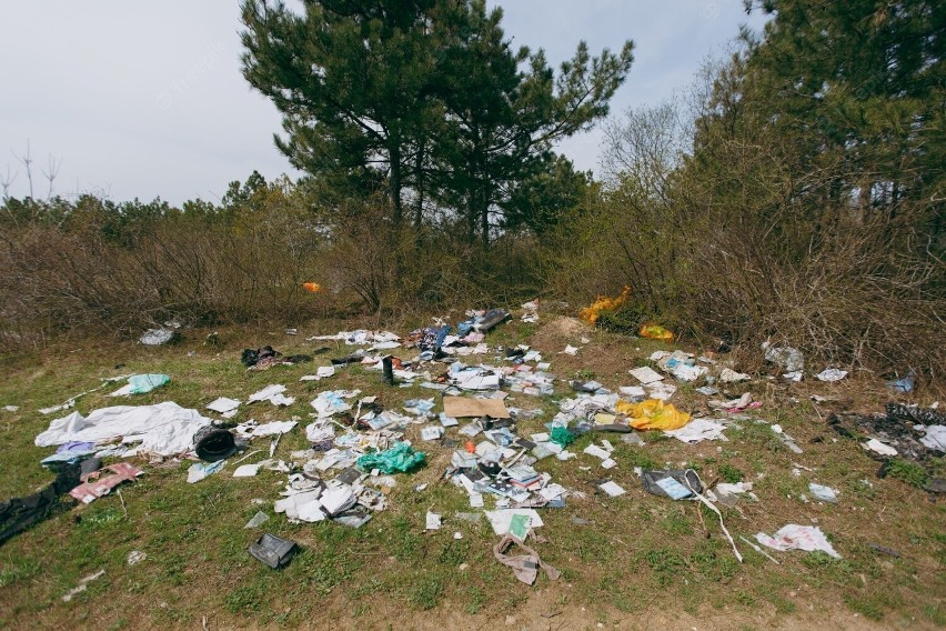 Porzucone sterty śmieci to częsty widok w lasach.