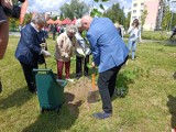 Ekologiczny piknik na Podolszycach za nami! Płocczanie zasadzili nowe drzewa! [ZDJĘCIA]