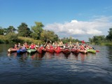 Niedziela na sportowo. Popłynęli kajakami z Nowego Miasta do Gogolewa [zdjęcia]