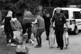 Strażnicy miejscy z Kielc pomogli bezdomnym zwierzętom. Zobaczcie jak [ZDJĘCIA]