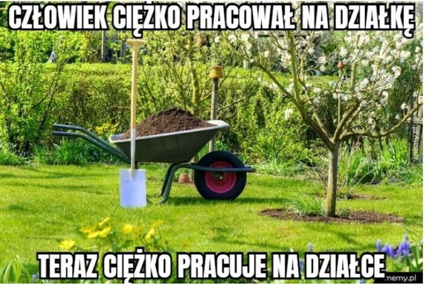 Memy o modzie na ogródki działkowe