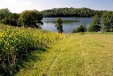 „Naj” jeziora w Polsce, czyli akweny, które są krajowymi rekordzistami. Zobacz, gdzie znajduje się najczystsze jezioro w Polsce i nie tylko