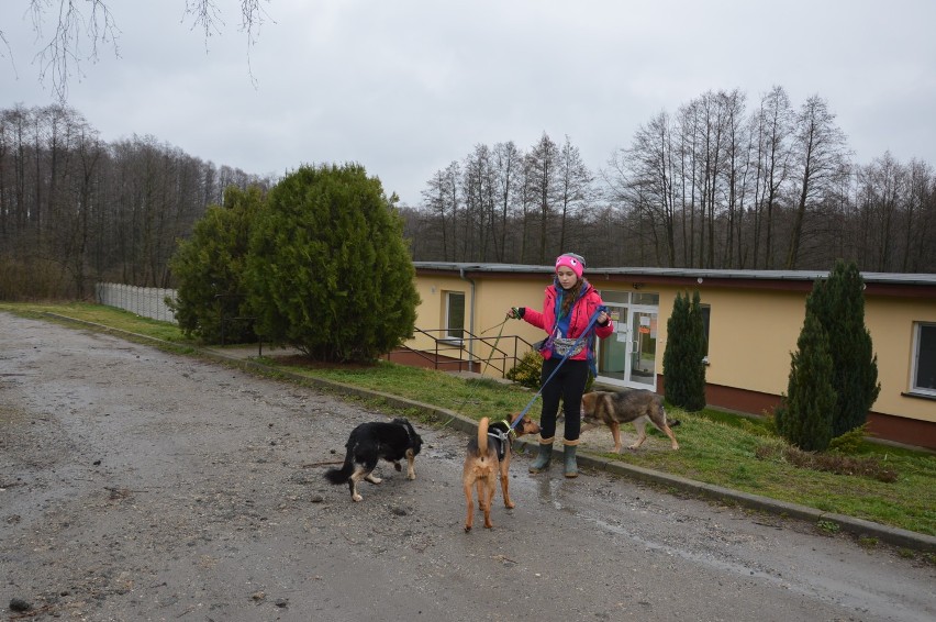 - Mimo iż w skargach nie pada nazwa Aport, to zarzuty...