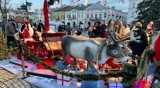 Jarmark Bożonarodzeniowy w Krośnie. Na Rynku zapanowała przedświąteczna atmosfera. Zobaczcie zdjęcia