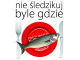 Podsumowanie tygodnia MM Białystok