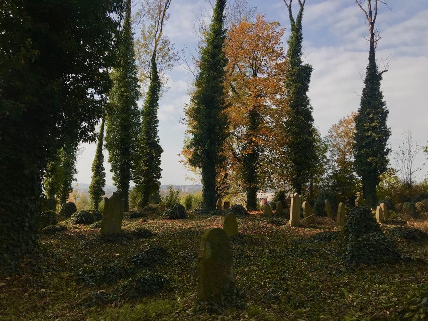 Stary cmentarz żydowski w Cieszynie, jesień