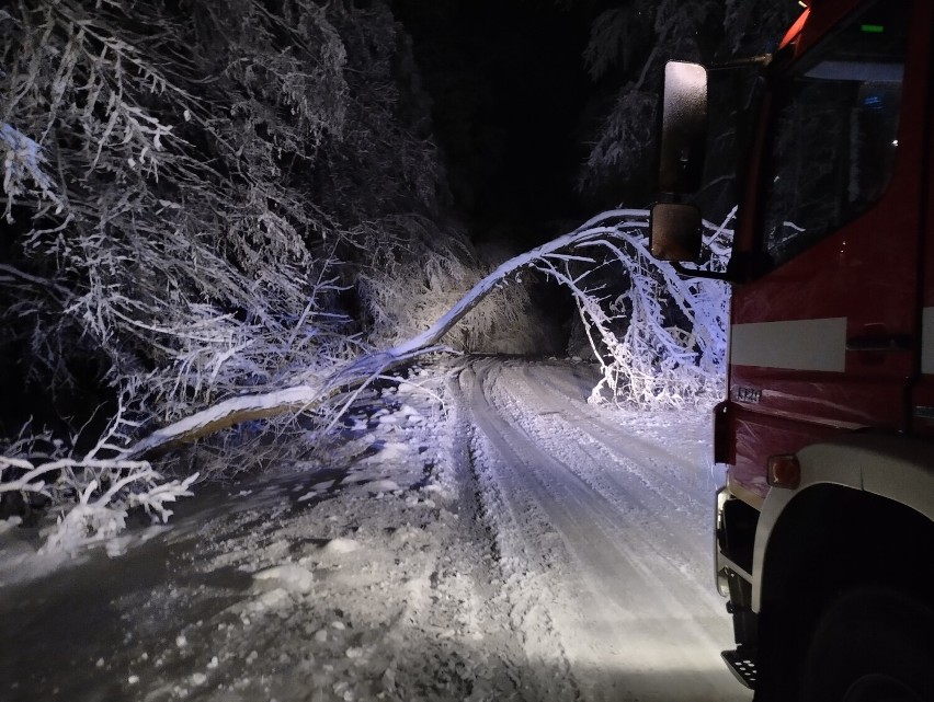 Strażacy usuwają skutki intensywnych opadów śniegu w powiecie przemyskim [ZDJĘCIA]