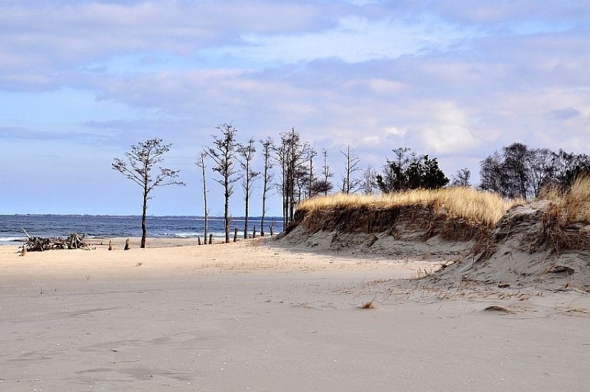 Plaża na Wyspie Sobieszewskiej