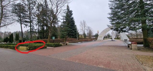 Szczecinecki cmentarz wojenny z pomnikiem, na czerwono miejsce pamięci, gdzie ewentualnie upamiętniono by ofiary mordów czerwonoarmistów