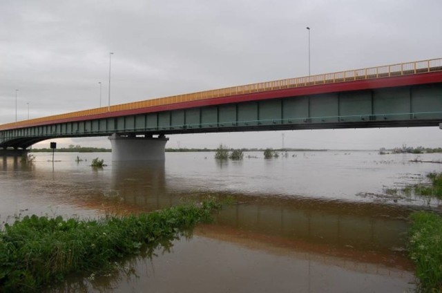 W środę (24 czerwca) w Kiezmarku na drodze krajowej nr 7 odbędzie się protest rybaków z Mierzei Wiślanej. należy Można spodziewać się znacznych utrudnień w ruchu drogowym.