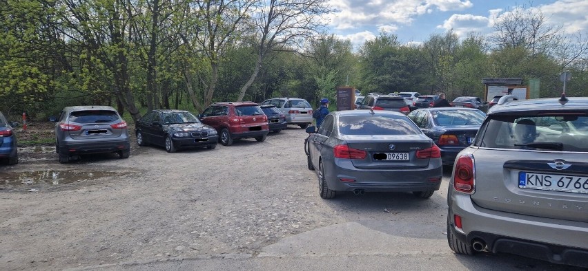 Mieszkańcy obawiają się o miejska parkingowe przy Parku Zakrzówek. „Kierowcy już parkują, gdzie popadnie"