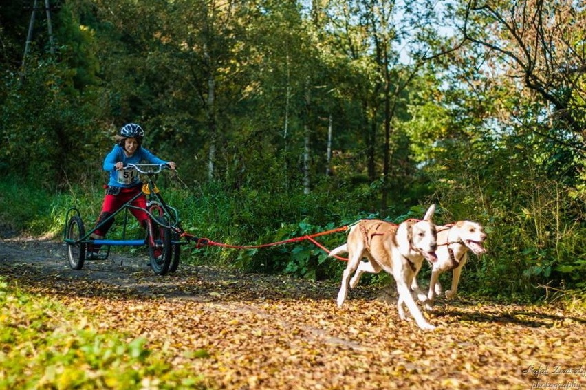 To będzie pierwszy tak duży wyścig psich zaprzęgów w Polsce