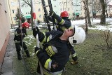 Nowy Sącz: strażacka akcja przy ul. Kołłątaja z happy endem [ZDJĘCIA]