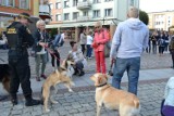 Zerwijmy łańcuchy. Akcja miłośników zwierząt w Człuchowie [ZDJĘCIA!!!]