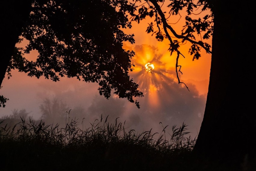 Wschody słońca w regionie zapierają dech w piersi. "To...