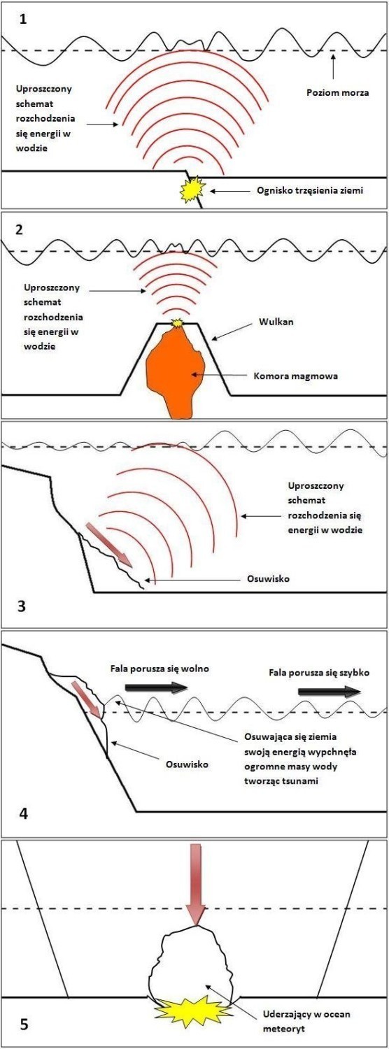Rys. 1. Uproszczone schematy pokazujące pięć przyczyn powstawania tsunami: 1 - podmorskie trzęsienie ziemi; 2 - podmorska erupcja wulkaniczna; 3 - podmorskie osunięcie ziemi; 4 - duże osunięcie brzegu morskiego; 5 - upadek meteorytu.