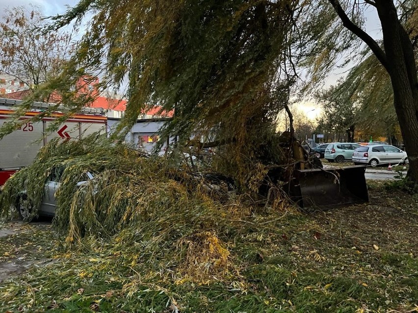 19 zdarzeń to przede wszystkim połamane drzewa.