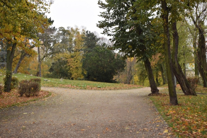 Złota polska jesień w Gnieźnie. W parkach pustki [FOTO]