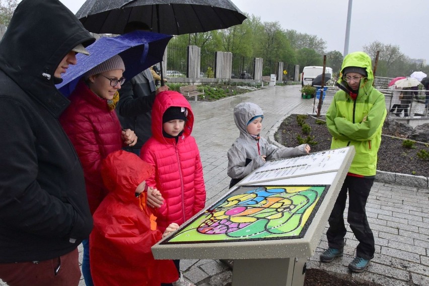 Ogród Botaniczny w Kielcach otwarty po zimie [WIDEO, ZDJĘCIA]