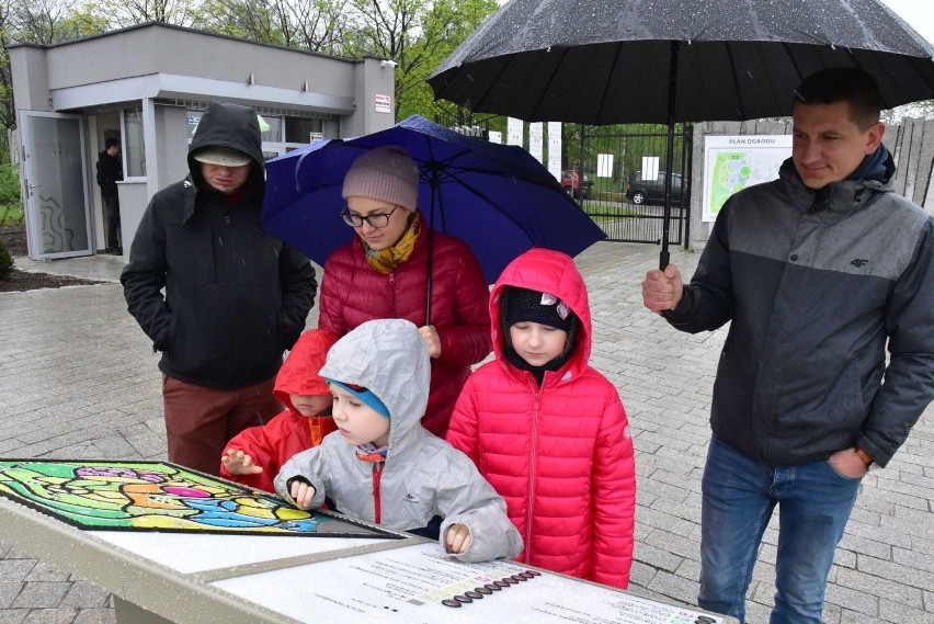 Ogród Botaniczny w Kielcach otwarty po zimie [WIDEO, ZDJĘCIA]