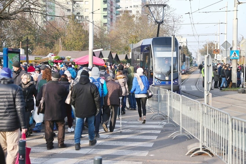 Wrocław. Tłumy na Cmentarzu Grabiszyńskim. Zobacz zdjęcia