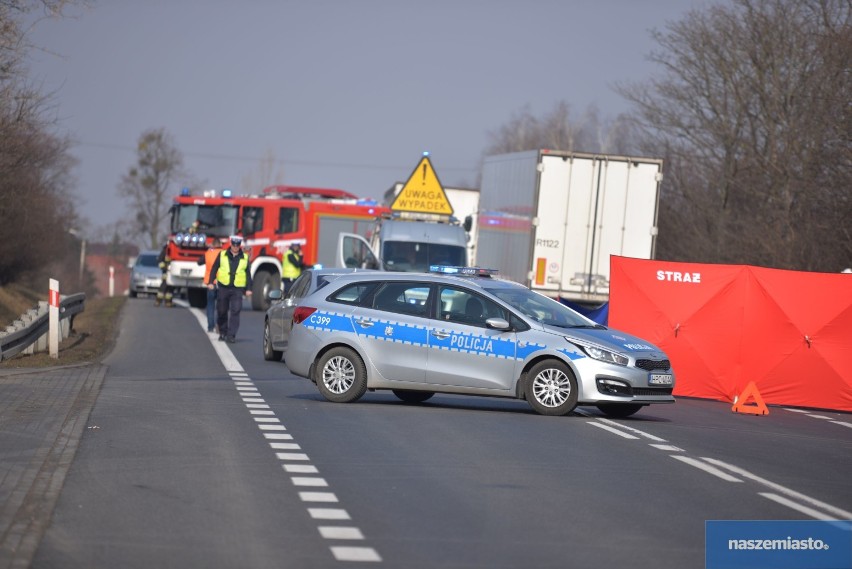 Tragiczny wypadek na drodze krajowej nr 10 Lipno - Toruń. Nie żyją 38-letnia kobieta i jej 7-letni syn [zdjęcia]