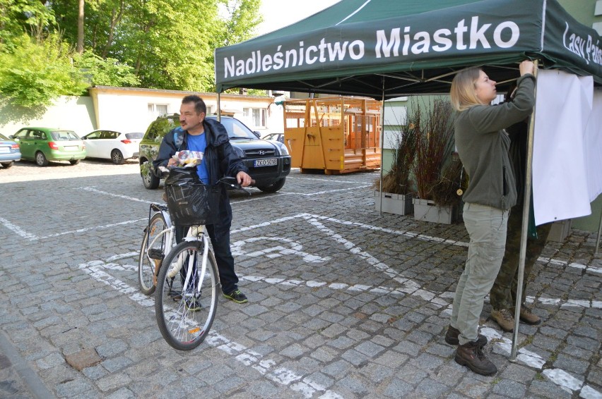 Miastko, Biały Bór. Fotogaleria z naszej akcji "Drzewko za makulaturę"