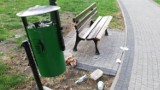 Mieszkańcy mówią, że koszy na śmieci w Grodzisku jest za mało. Co na to Urząd Miasta?