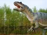 Wiele gatunków dionozaurów to błąd paleontologów