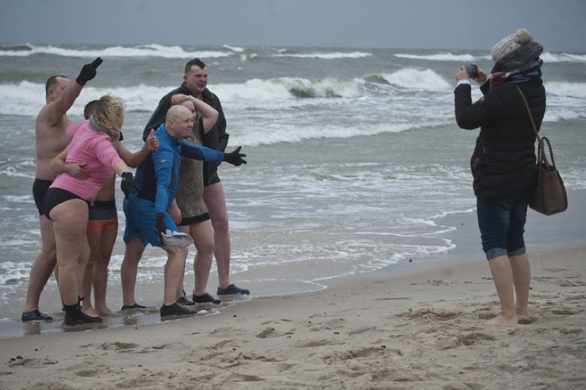 Noworoczna kąpiel morsów na plaży w Mielnie [ZDJĘCIA]