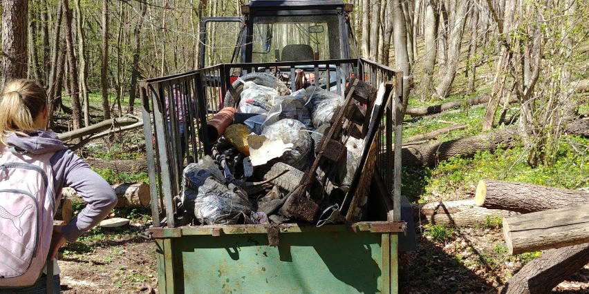 Zdjęcie z wiosennej akcji sprzątania potoku Źródło Marii w...