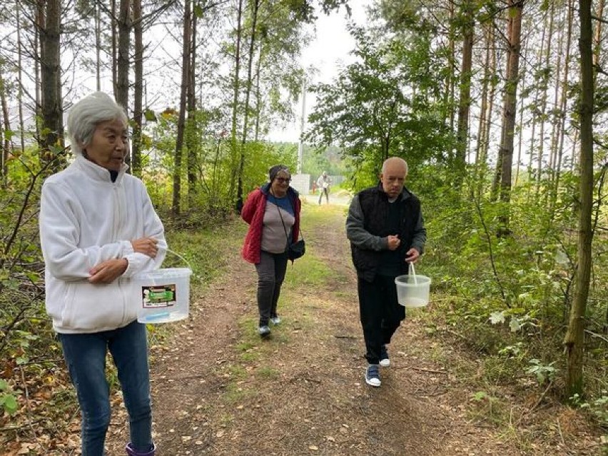 Grzybobranie i jesienne zajęcia plastyczne w Domu Seniora w Wieluniu