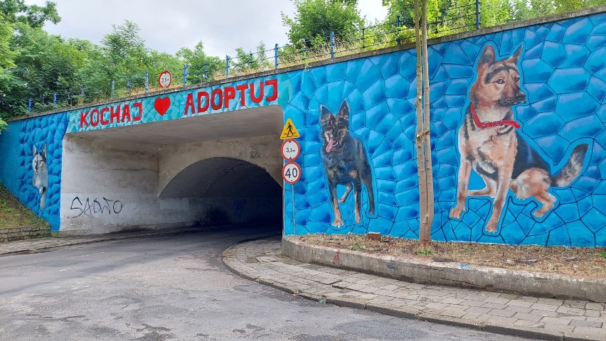 Kochaj-Adoptuj, to hasło widnieje na ścianie wiaduktu kolejowego w Lubsku. Mural prezentuje się wspaniale!