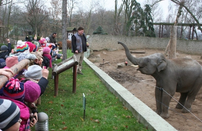 PERN przekazał zabawki dla słoni