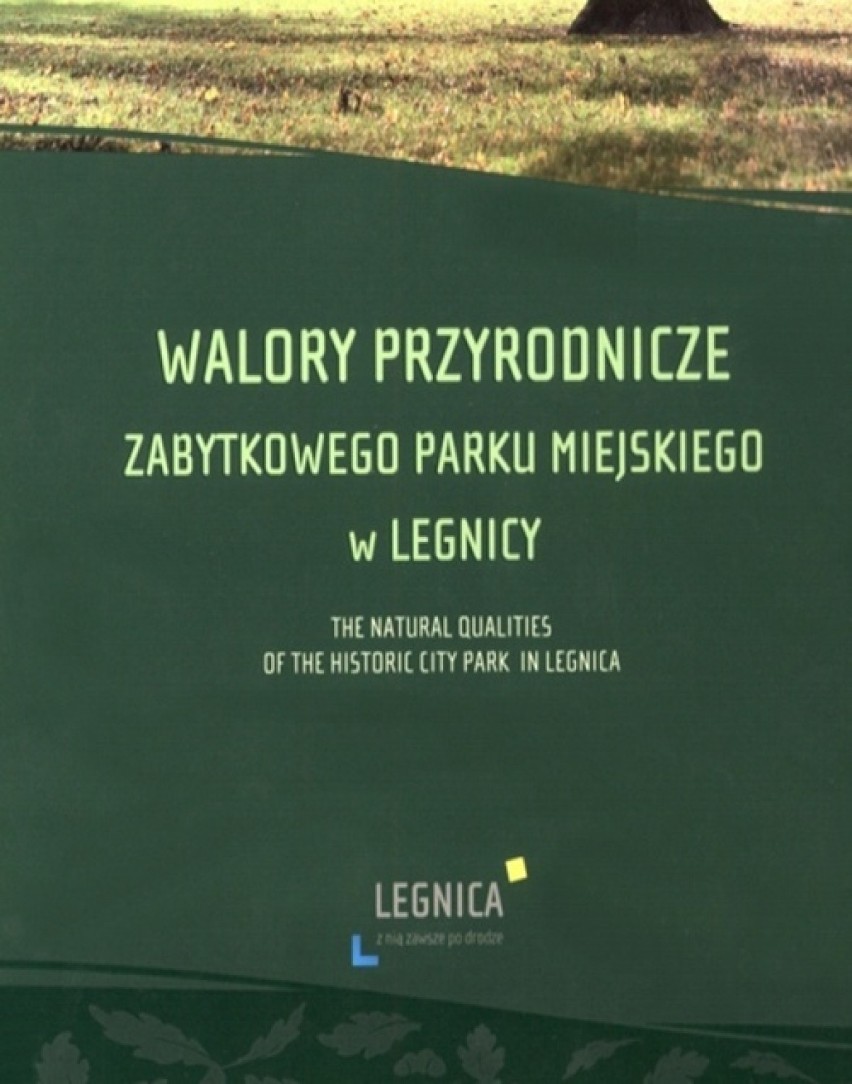 Legnicka Książka Roku 2014 - kandydaci