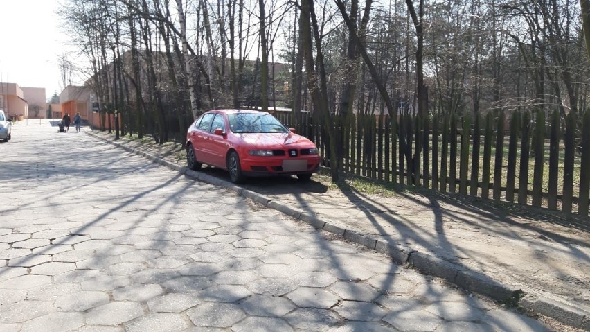 Opolscy kierowcy często zastawiają trawniki czy chodniki...