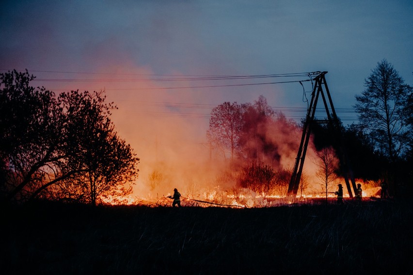Pożar suchych traw przy ul. Droniowickiej w Lublińcu...