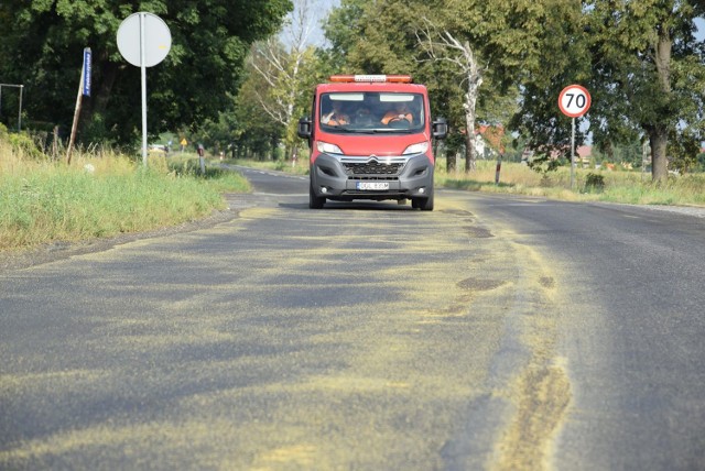 Rzepak na jezdni w Kędzierzynie-Koźlu. Śliska droga wojewódzka 408.