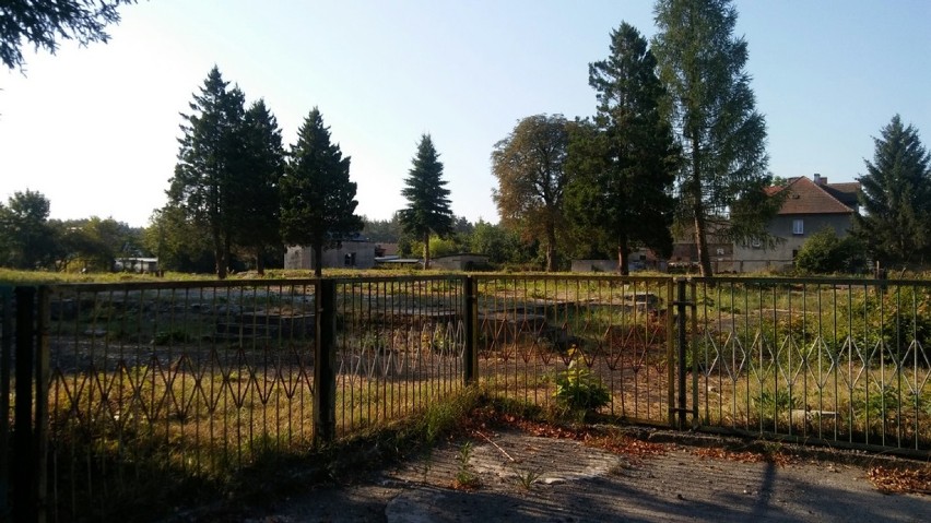 Porządkowanie terenu byłego przedszkola w Węglińcu. Zobacz zdjęcia przed i po sprzątaniu