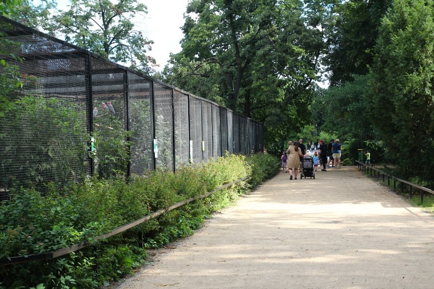 W Warszawskim Zoo dla odwiedzających udostępnione zostały...
