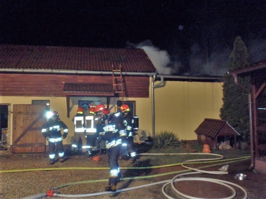 Pożar kotłowni w budynku gospodarczym w Międzybłociu 