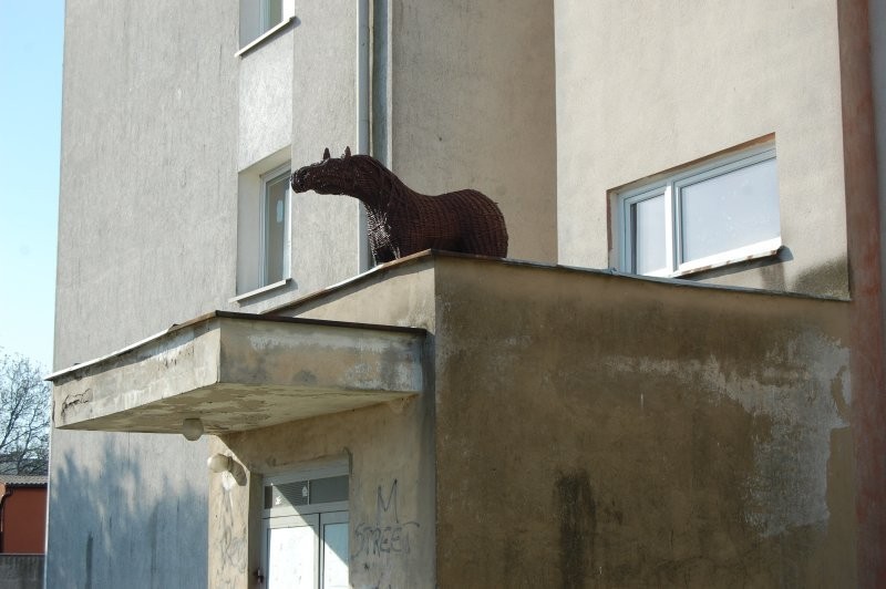 Wiklinową figurę konia z ronda przy ul. Żwirowej dowcipnisie przenieśli aż na ul. Mickiewicza