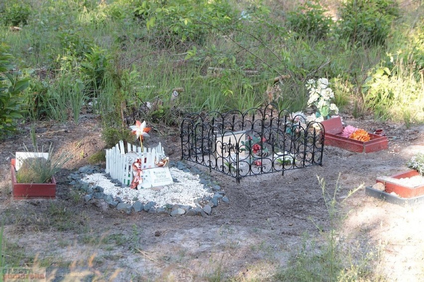 Cmentarz dla zwierząt we Włocławku.