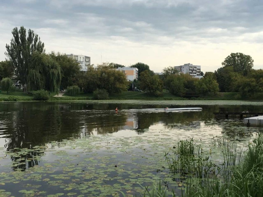 Wakacje zawsze są okresem, w którym drastycznie wzrasta...