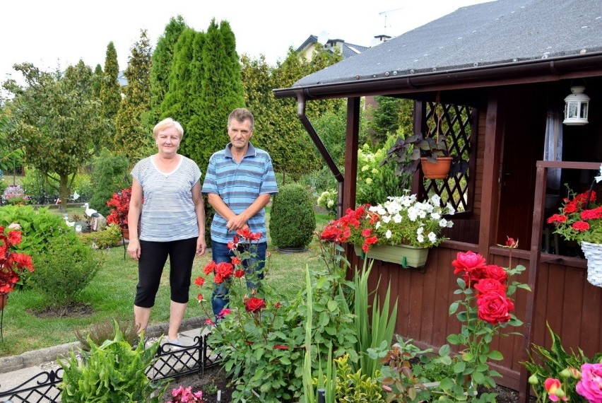 Wzorowa działka 2019 cz. 11: działka Haliny i Mirosława Dziuda [ZDJĘCIA]