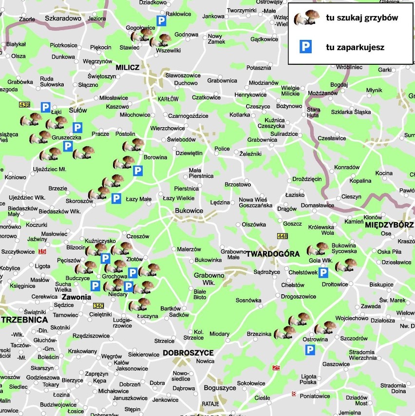 Mapka powstała we współpracy z Regionalną Dyrekcją Lasów...