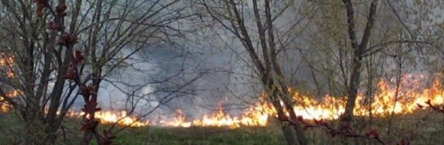 Nieużytki płonące w rejonie lubelskiej ul. Jutrzenki