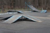 Puławski budżet obywatelski nadzieją dla skateparku